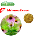 Natural Echinacea Extract Cichoric Acid